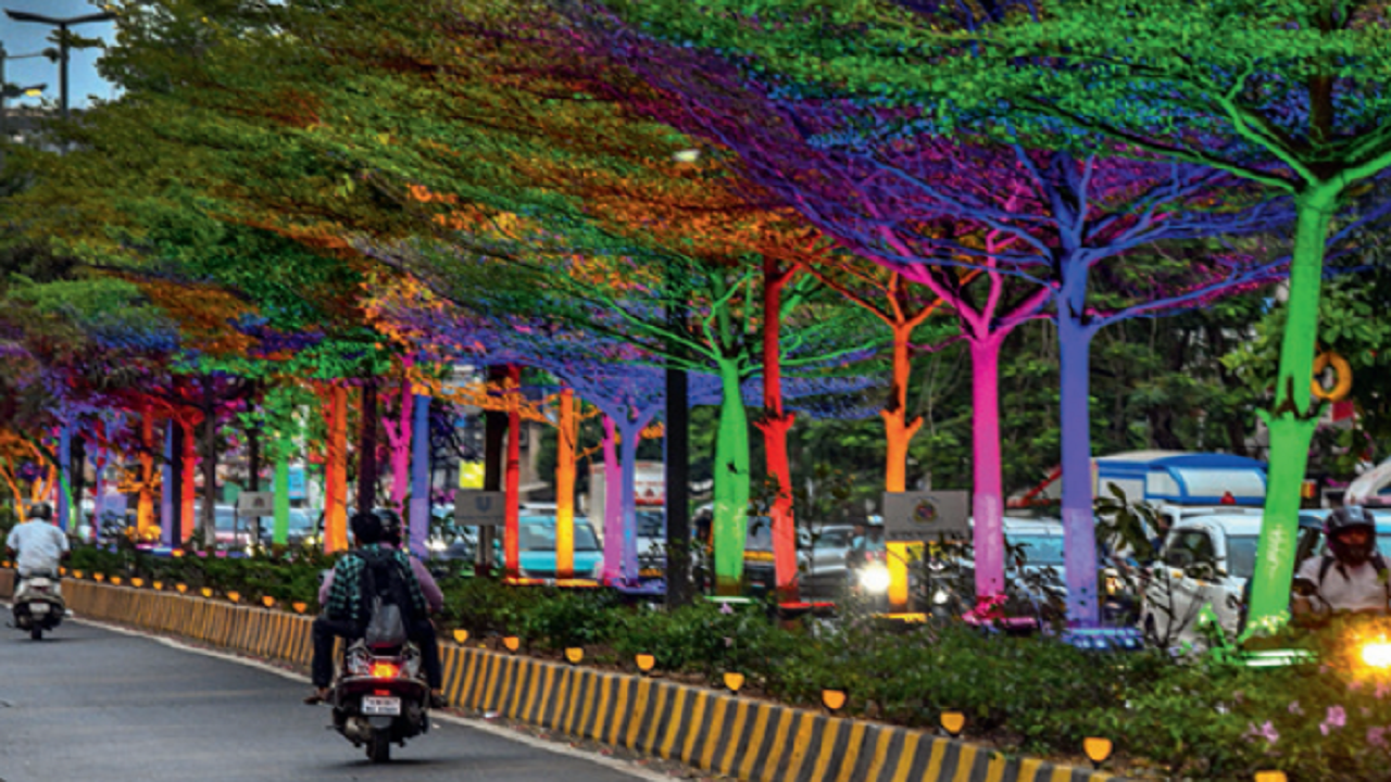 Trees wrapped with decorative lights in Mumbai, subject of a Tree Act legal notice